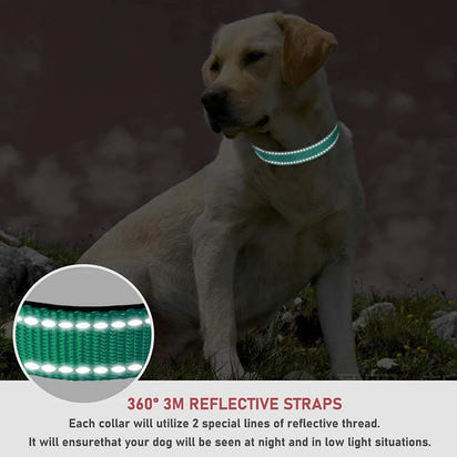 Reflective Adjustable Dog Collar™
